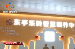 中宣部采访团到访武汉东亭社区南宫NG28智慧保养中心